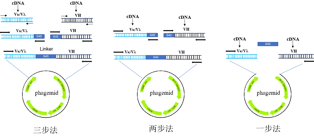 图片5655645.png